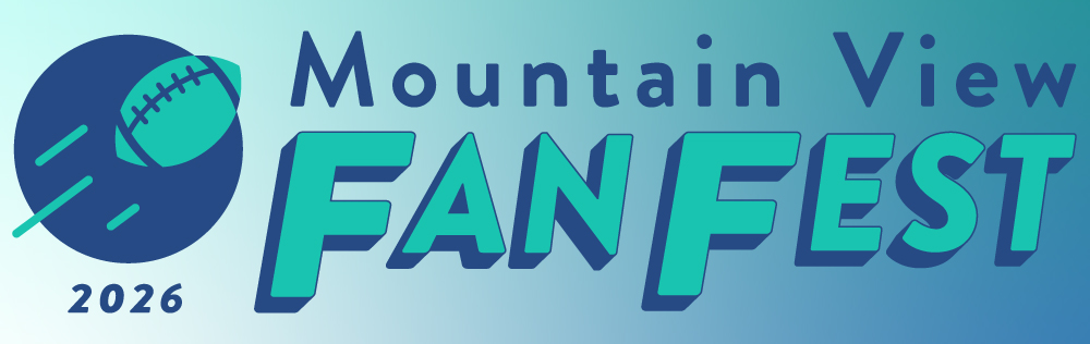 Super Bowl Website Banner